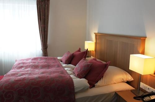 Imagen general del Hotel Frankenbach. Foto 4