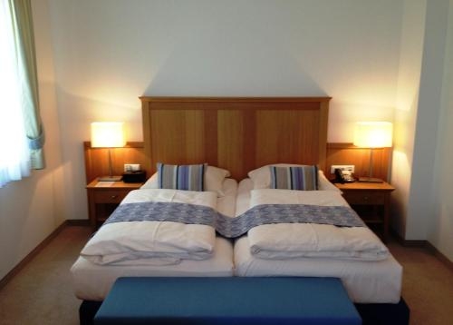 Imagen general del Hotel Frankenbach. Foto 6