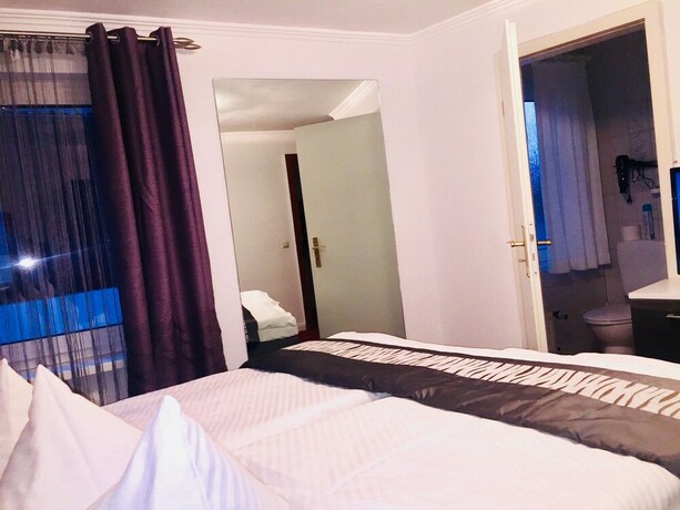 Imagen de la habitación del Hotel Freese. Foto 7