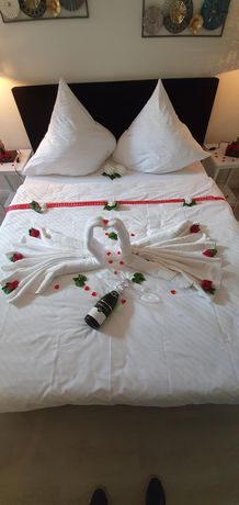 Imagen general del Hotel Friesischer Hof. Foto 3