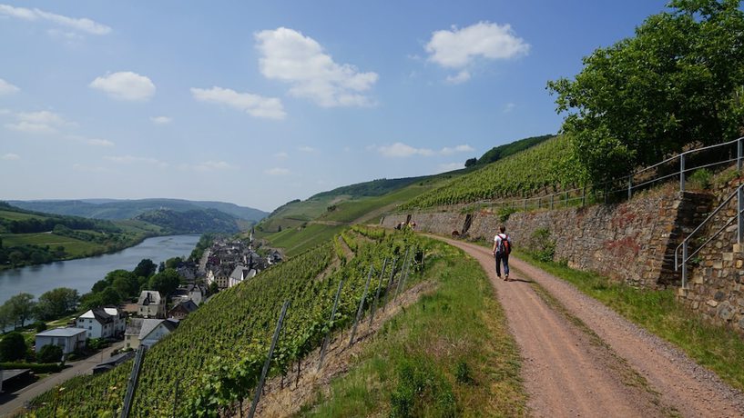 Imagen general del Hotel Garni Cafe im Hamm. Foto 4