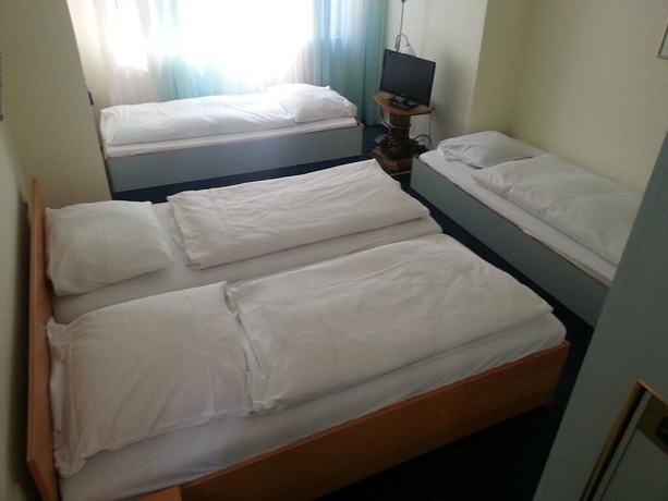 Imagen de la habitación del Hotel Garni Frankfurt. Foto 3