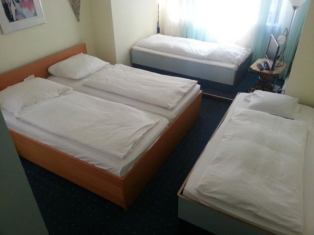 Imagen de la habitación del Hotel Garni Frankfurt. Foto 19