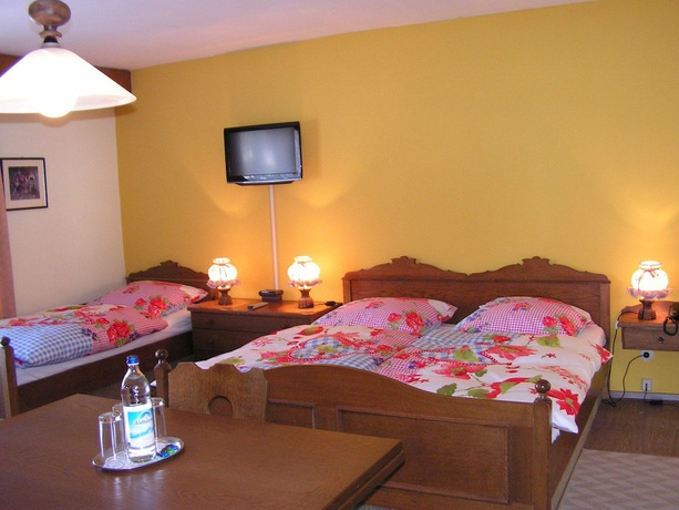 Imagen de la habitación del Hotel Garni Haus Alpine. Foto 4