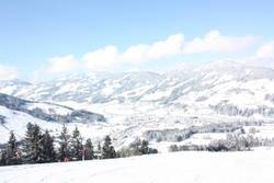 Imagen general del Hotel Garni Wieshof. Foto 14