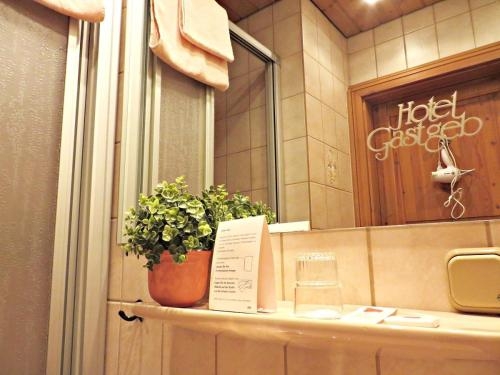Imagen general del Hotel Gastgeb. Foto 5