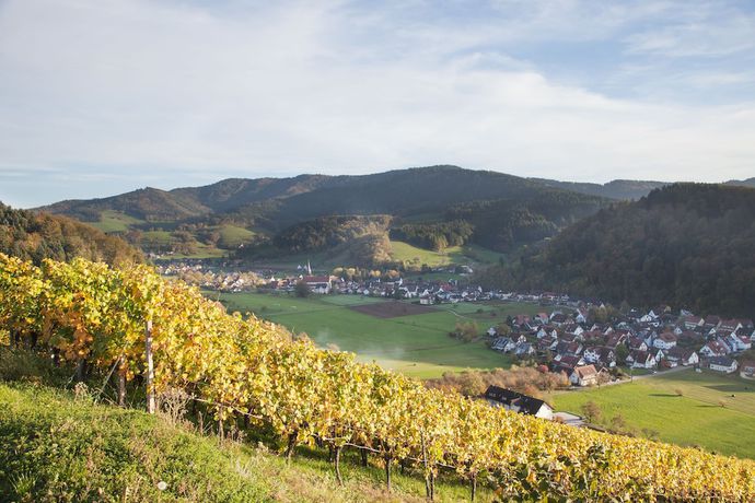 Imagen general del Hotel Gasthaus Adler. Foto 2