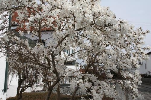 Imagen general del Hotel Gasthaus Wangerhof. Foto 4