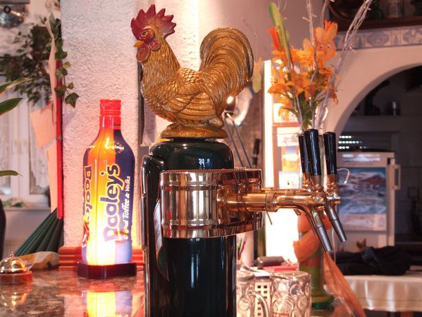 Imagen del bar/restaurante del Hotel Gasthof Goldener Hahn. Foto 8