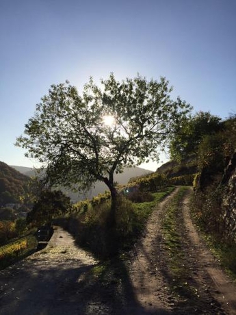 Imagen general del Hotel Gasthof Schuster. Foto 3