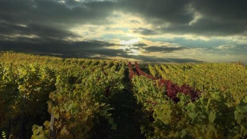 Imagen general del Hotel Gasthof Schuster. Foto 4