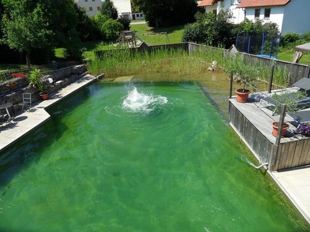 Imagen de la piscina del Hotel Gasthof Zum Hirschen. Foto 20