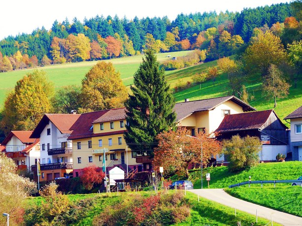Imagen general del Hotel Gasthof Zur Krone. Foto 1