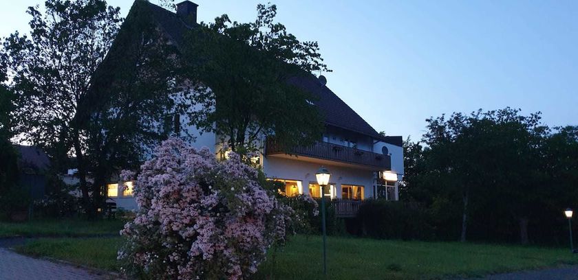 Imagen general del Hotel Gaulskopf. Foto 7