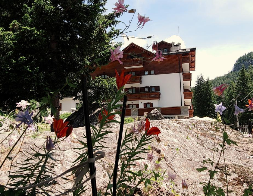 Imagen general del Hotel Gembro. Foto 4