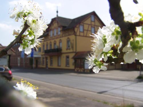Imagen general del Hotel Gerber, Horbach. Foto 9