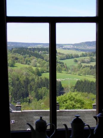 Imagen de la habitación del Hotel Goldene Sonne, Annaberg-Buchholz. Foto 5