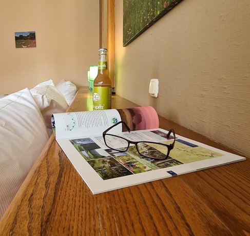 Imagen de la habitación del Hotel Goldenes Fass. Foto 10