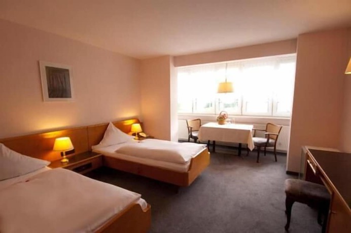 Imagen de la habitación del Hotel Goldinger. Foto 15
