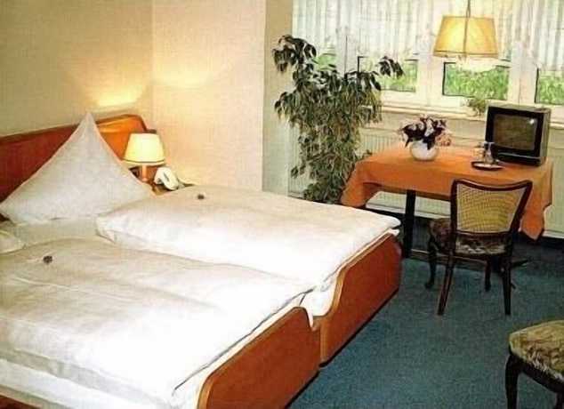 Imagen de la habitación del Hotel Goldinger. Foto 16