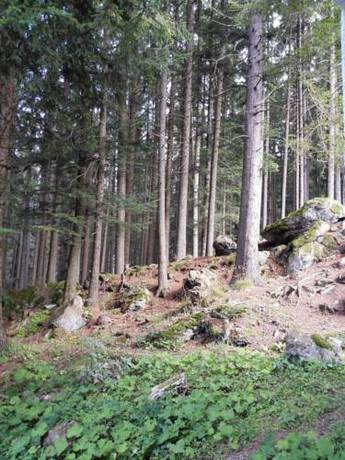 Imagen de la habitación del Hotel Gradl. Foto 11