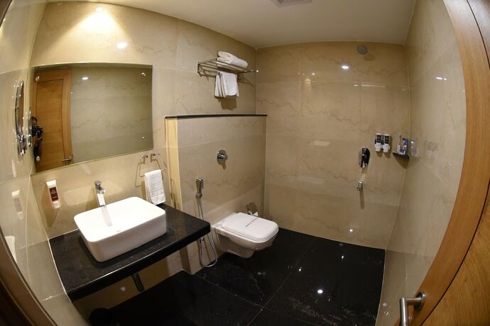 Imagen de la habitación del Hotel Grand Rajputana. Foto 9