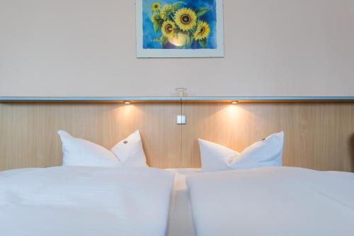 Imagen general del Hotel Granitz. Foto 3
