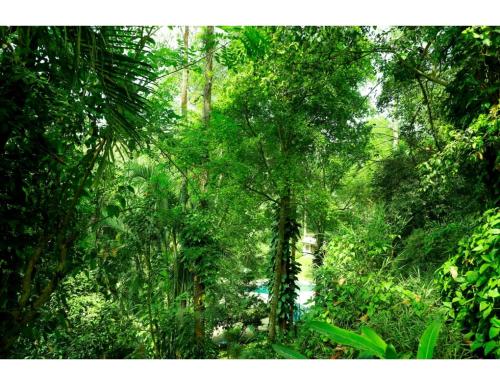 Imagen general del Hotel Green Gates, Madathumpadi, Kerala. Foto 10