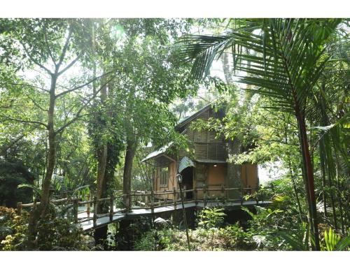 Imagen de la habitación del Hotel Green Gates, Madathumpadi, Kerala. Foto 17