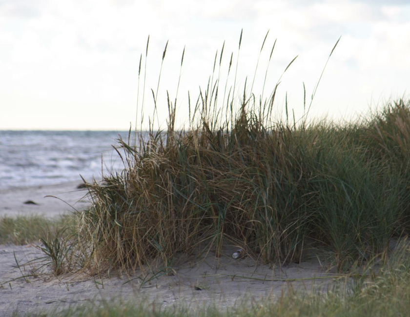 Imagen general del Hotel Grenaa-havlund. Foto 7