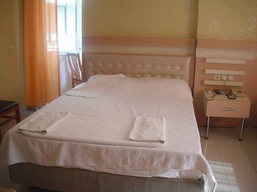 Imagen general del Hotel Gunduz. Foto 8