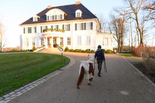 Imagen general del Hotel Gut Immenhof. Foto 8