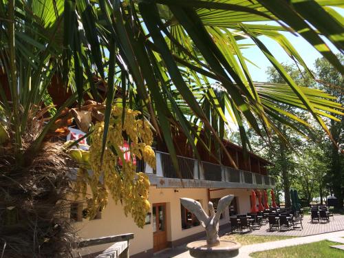 Imagen general del Hotel Halászkert Badacsony. Foto 7