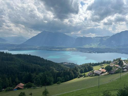 Imagen general del Hotel Haltenegg. Foto 3