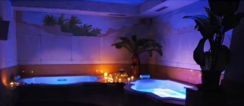 Imagen de la piscina del Hotel Harmonie. Foto 20
