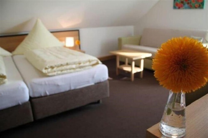 Imagen de la habitación del Hotel Häußler. Foto 11