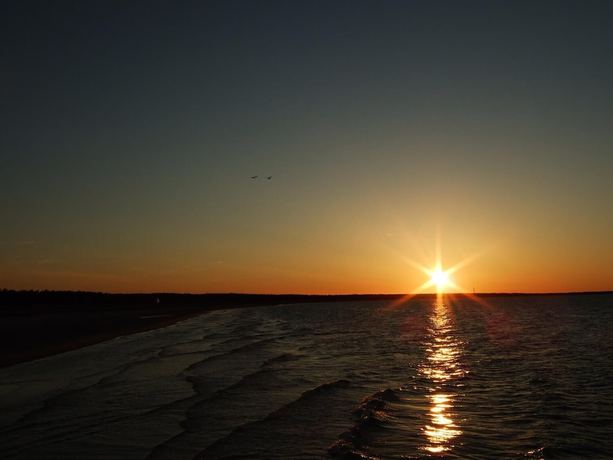 Imagen de los exteriores del Hotel Haus Kranich. Foto 11