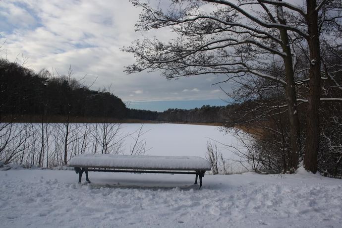 Imagen de los exteriores del Hotel Haus Kranich. Foto 13