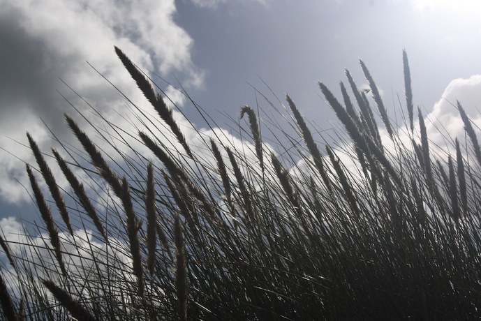 Imagen de los exteriores del Hotel Haus Kranich. Foto 14