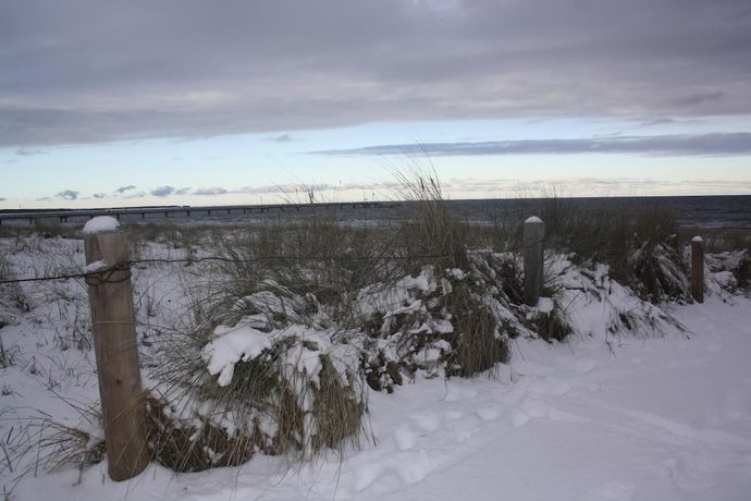 Imagen de los exteriores del Hotel Haus Kranich. Foto 16