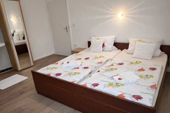Imagen de la habitación del Hotel Haus Schwan. Foto 9