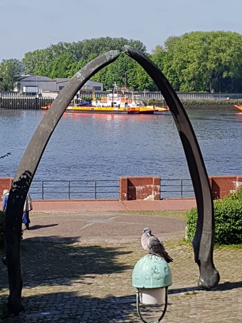 Imagen de los exteriores del Hotel Havenhaus. Foto 10