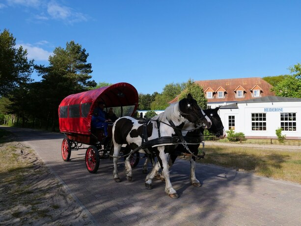 Imagen general del Hotel Heiderose. Foto 6