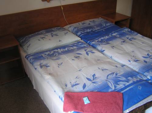 Imagen de la habitación del Hotel Hela. Foto 12