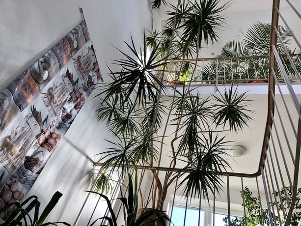 Imagen de los interiores del Hotel Hilgers. Foto 20