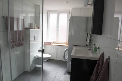 Imagen de la habitación del Hotel Hirschen. Foto 16