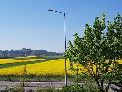 Imagen de la habitación del Hotel Holiday Lyon Est. Foto 2
