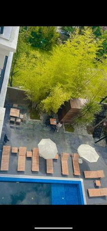 Imagen general del Hotel Homey Kobuleti. Foto 32