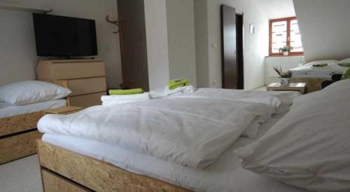 Imagen general del Hotel Hospod&aacute;řsk&yacute; dvůr Bohuslavice. Foto 3
