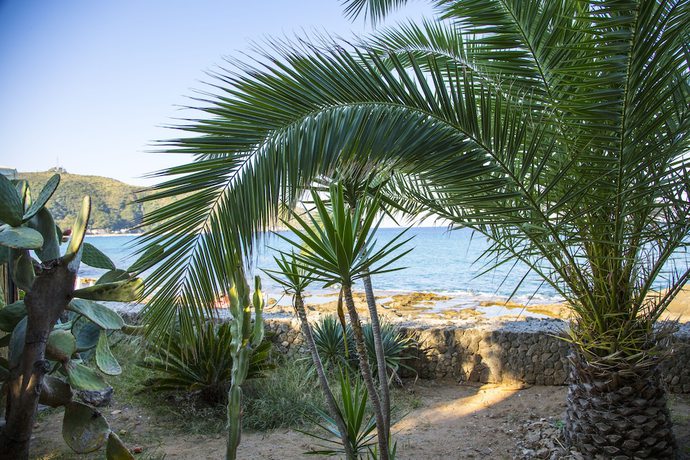 Imagen de los exteriores del Hotel Il Gabbiano Palinuro. Foto 12